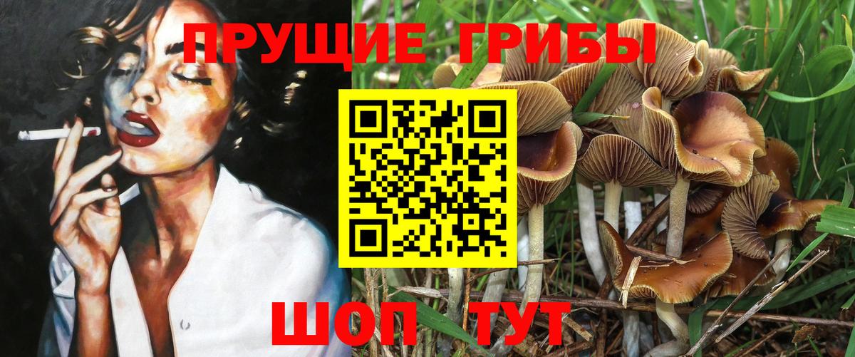 Псилоцибиновые грибы Magic Shrooms  Вход с VPN  Когалым  Галлюциногенные грибы мицелий 
